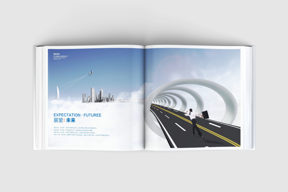 顺庆区画册设计